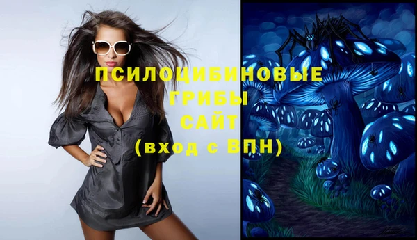 соль ск Навашино