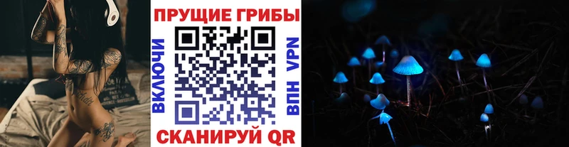 Псилоцибиновые грибы Magic Shrooms  Урюпинск 
