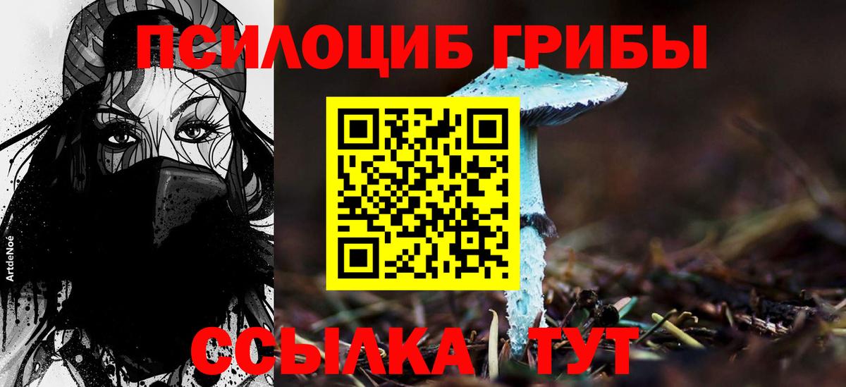 Псилоцибиновые грибы Cubensis Урюпинск