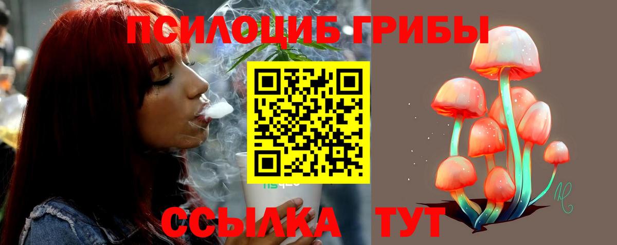 Галлюциногенные грибы мухоморы Урюпинск