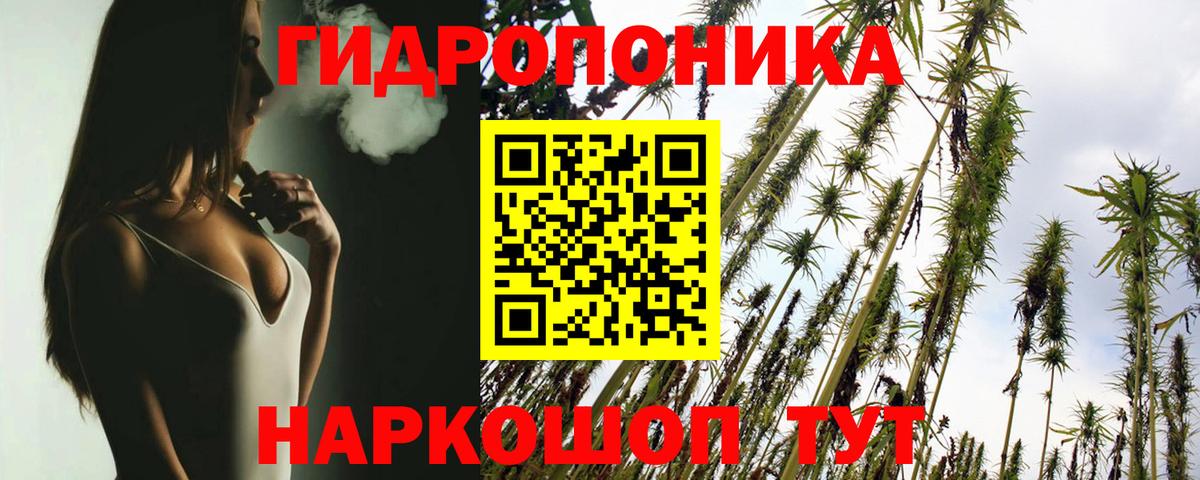 Бошки марихуана OG Kush Урюпинск